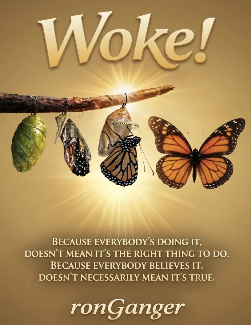 Woke! book cover